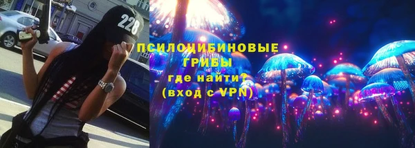 Альфа ПВП Каменногорск