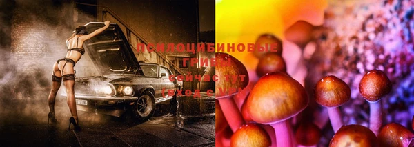 наркотики Каменка