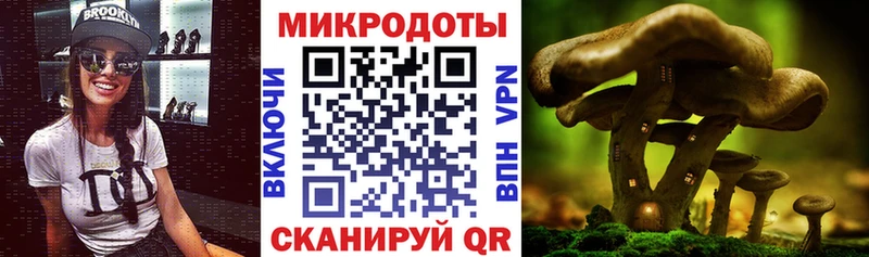 Псилоцибиновые грибы GOLDEN TEACHER  Купить закладки  Тюмень 